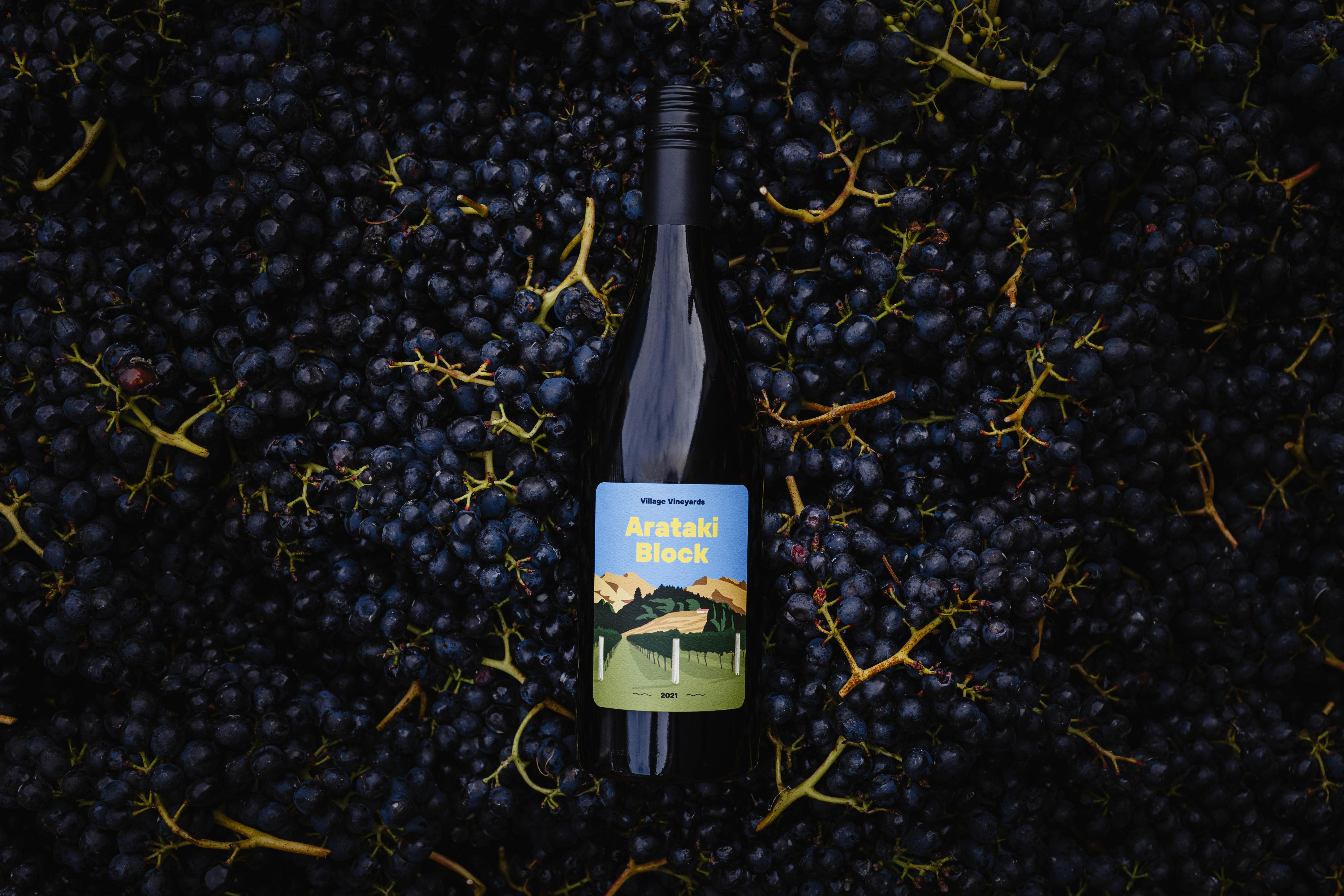 Village Vineyards Harvest April 2024 114