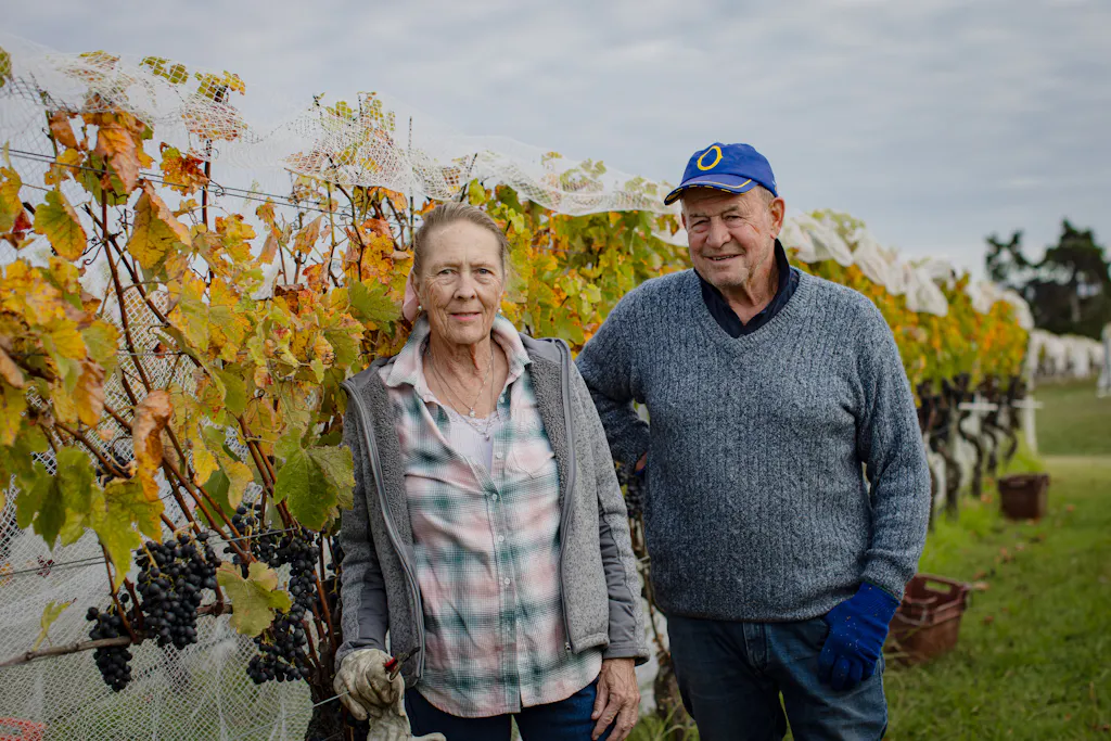 Village Vineyards Harvest April 2024 4