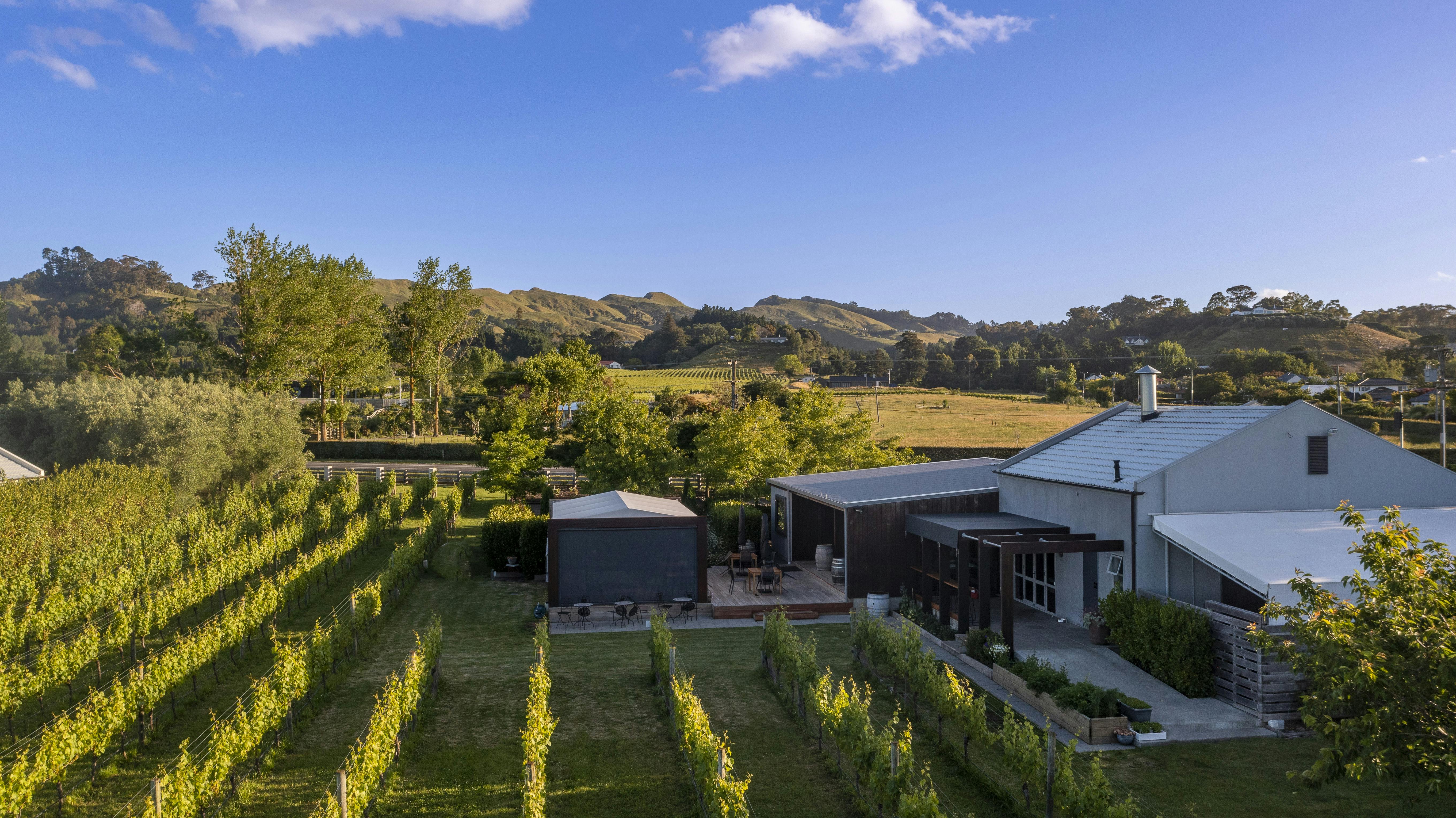 Village Vineyardss duskdrone dec22008